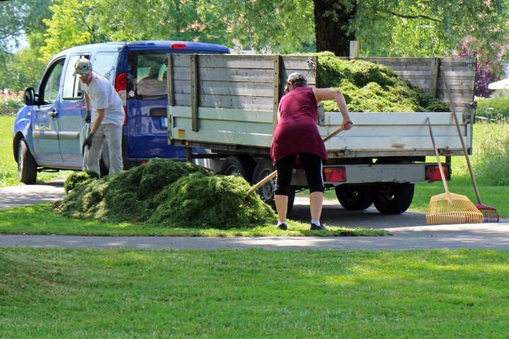 antranias landscaper 401880